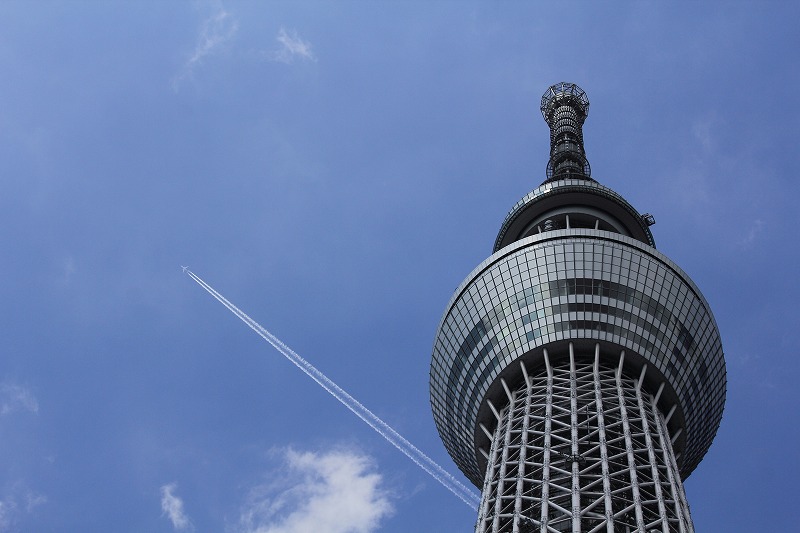 事業紹介